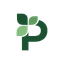 Pixelorid logo